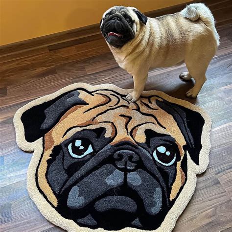 cute animal rug bedroom 2
