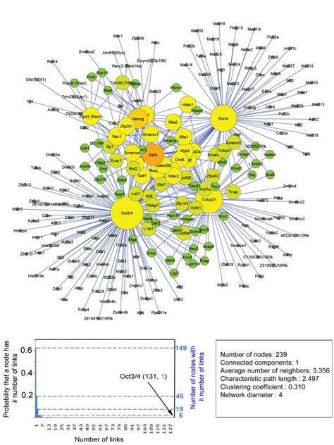 Building A Pluripotency Protein Interaction Network For Embryonic Stem