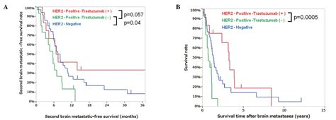 Extended Trastuzumab Therapy Improves The Survival Of Her Positive