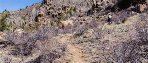 Davis Meadow Trail