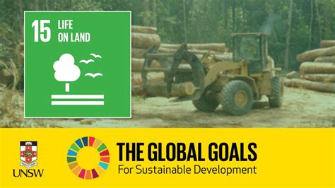 Sustainable Development Goal 15 Life On Land Tracey Rogers Youtube