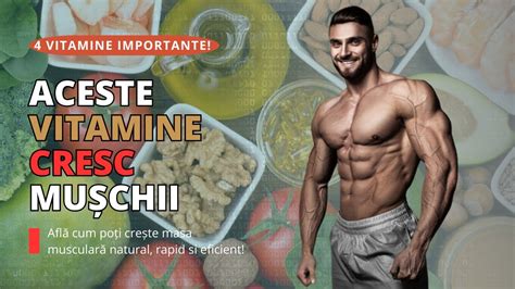 Cele Mai Importante Vitamine Pentru Cre Terea Masei Musculare