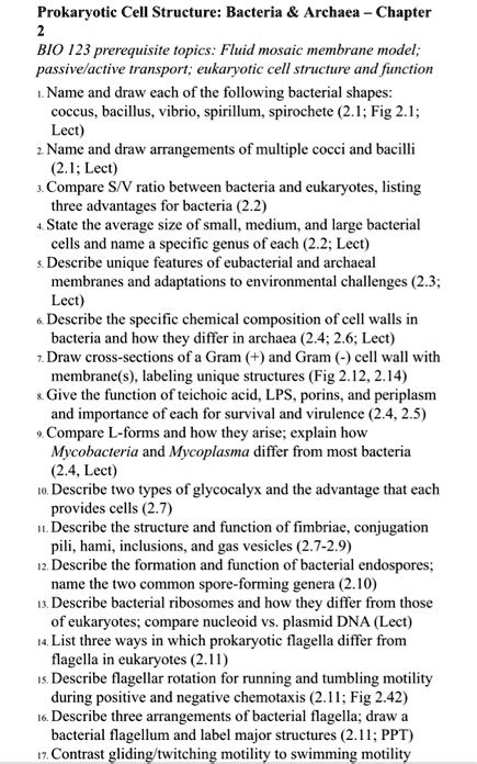 SOLVED: Prokaryotic Cell Structure: Bacteria Archaea Chapter BIO 123 prerequisite topics: Fluid ...