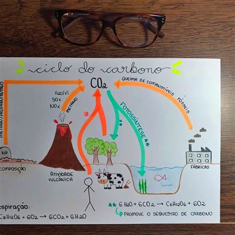 Mapa Mental Sobre Ciclo Do Carbono Study Maps