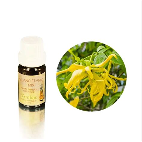 Aceite Esencial Ylang Ylang Ml Paimun