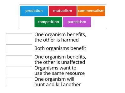 Symbiosis - Teaching resources