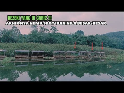 REZEKI MANCING AKHIRNYA MENEMUKAN SPOT IKAN NILA BESAR BESAR