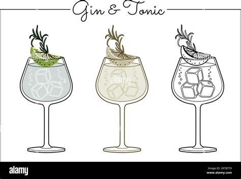 Vector Alcohol Drink Line Art Illustration Gin And Tonic Stock Vector