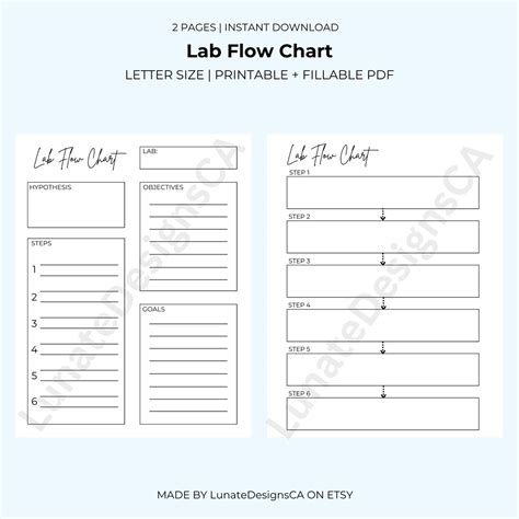 Science Lab Flow Chart, School Flow Chart, Biology/nursing/kinesiology ...