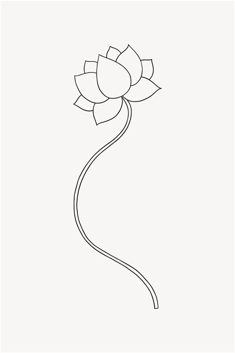 Lotus Outline Spiritual Illustration Vector Premium Vector