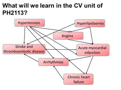 Introduction To Cardiovascular Disease Flashcards Quizlet