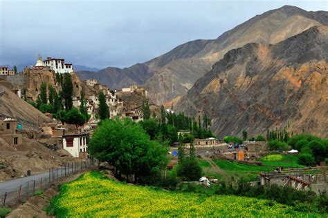 Sham Valley Trek Trekking Tours In Leh Ladakh Himalayas