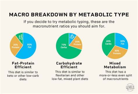 Metabolism Type Chart