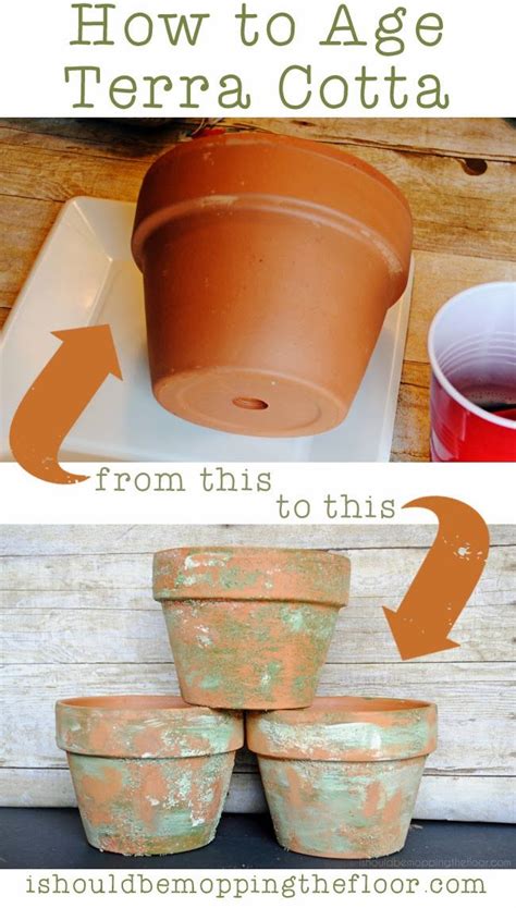 How To Age Terra Cotta Aging Terra Cotta Pots Terracotta Pots