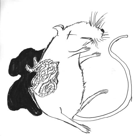 Coloring Clipart Dead Rat : Rat, rat mouse, rat cartoon, rat drawing, cartoon rats.