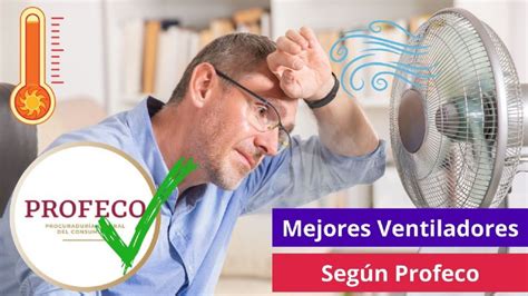 Mejores Ventiladores Del Mercado Seg N Profeco Para Sobrevivir Al