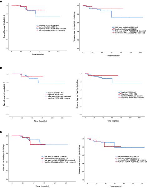 Frontiers A Three LncRNA Set AC009975 1 POTEH AS1 And AL390243 1 As