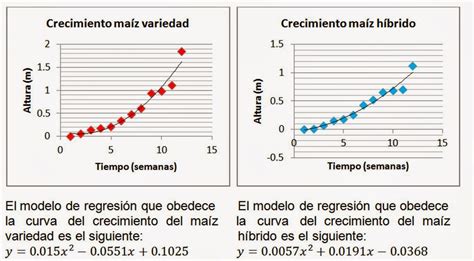 El blog de Jair Beltrán INFORME DE CRECIMIENTO Y DESARROLLO CULTIVO