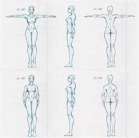 Reference Models Drawing