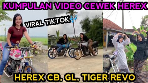 KUMPULAN VIDEO CEWEK HEREX HEREX GL MAX VIDEO GEREX MP HEREX