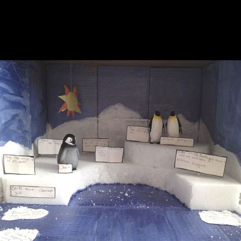 Emperor Penguin Diorama Project Ecosystems Projects First Grade