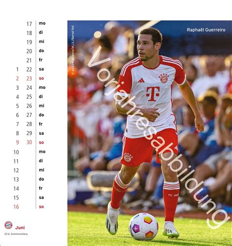 Kalender FC Bayern München Postkartenkalender 2025 online kaufen