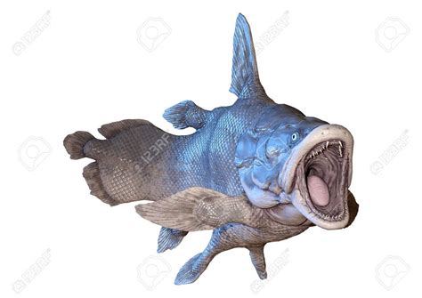 3d Rendering Of A Mawsonia An Extinct Genus Of Prehistoric Coelacanth