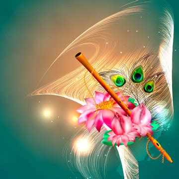 Discover Krishna Feather Wallpaper Hd Latest Vova Edu Vn