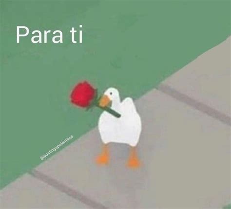 A White Duck With A Red Rose In Its Beak And The Words Parati On It