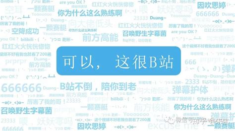 Bilibili：小破站持续出圈，哔哩哔哩从小众走向大众！ 附哔哩哔哩b站全套资料 知乎