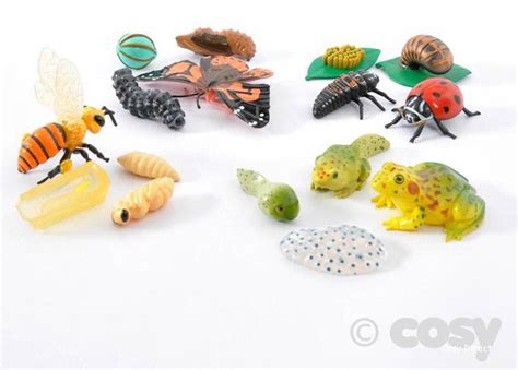 Minibeasts Learning Through Play The Cosy Blog