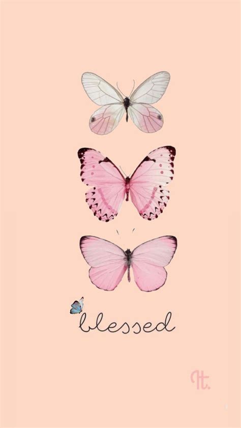 Three Pink And White Butterflies With The Words Blessed In Black