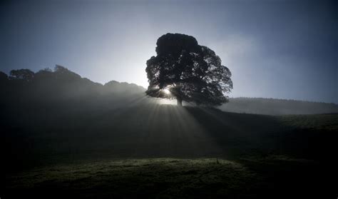 Nature photography | TeachingEnglish | British Council | BBC