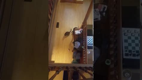 Nice Dildo Trick YouTube