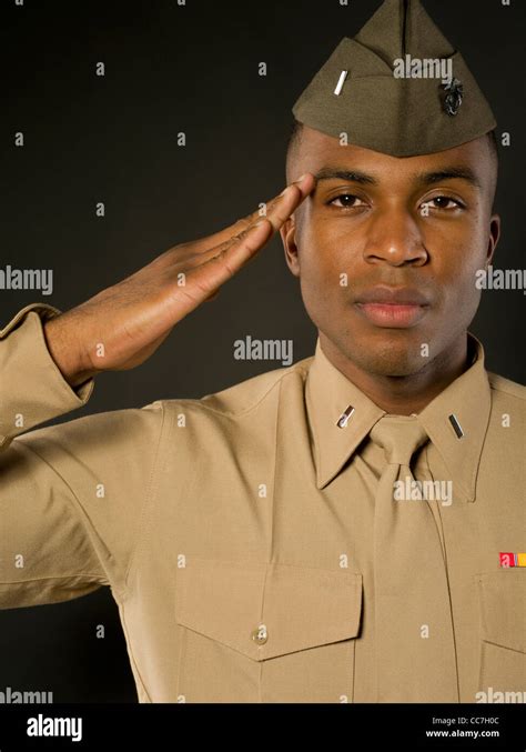 United States Marine Corps Officer In Service B Bravos Uniform