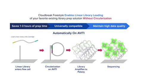 Simplify Your Sequencing Workflow Element Biosciences