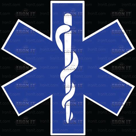 Ems Flag Home Iron On Dtf Direct To Film Heat Transfers Iron It