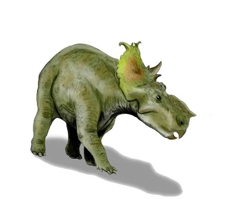 Pachyrhinosaurus Wiki Dino Fandom