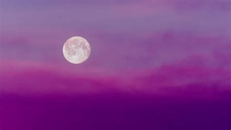 Pink Moon Pictures | Download Free Images on Unsplash