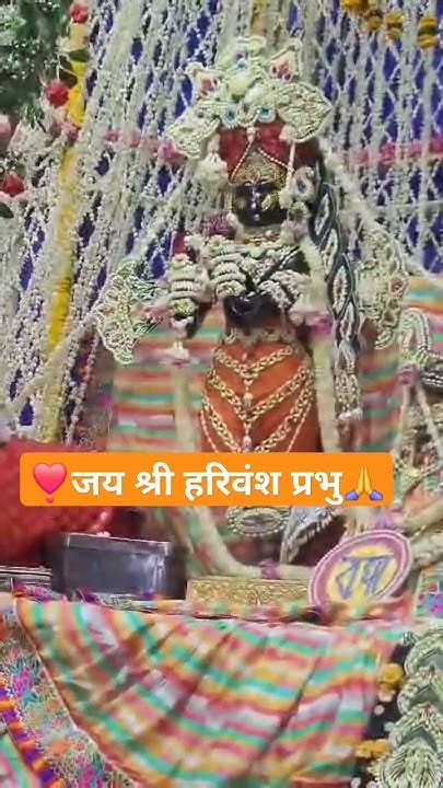 श्री राधा वल्लभ लाल जी के दर्शन ️🙏 Radheradhe Viral Radhavallabh