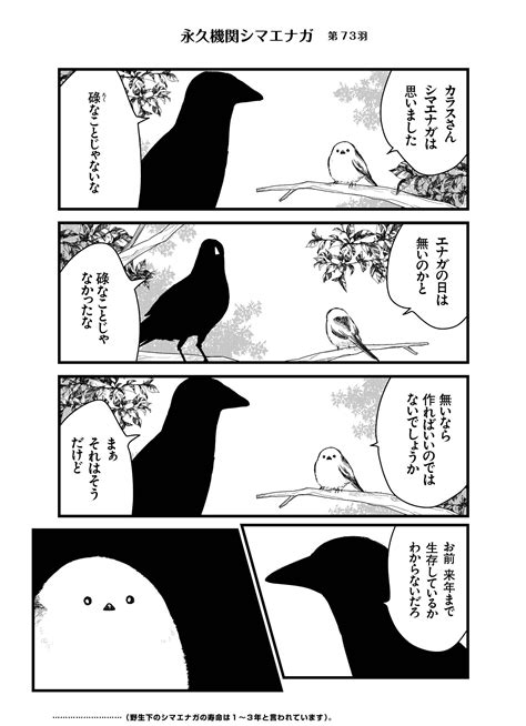 シマエナガとカラスさん【永久機関シマエナガ】コミックス発売中 On Twitter あざといシマエナガと賢いカラス73 永久機関