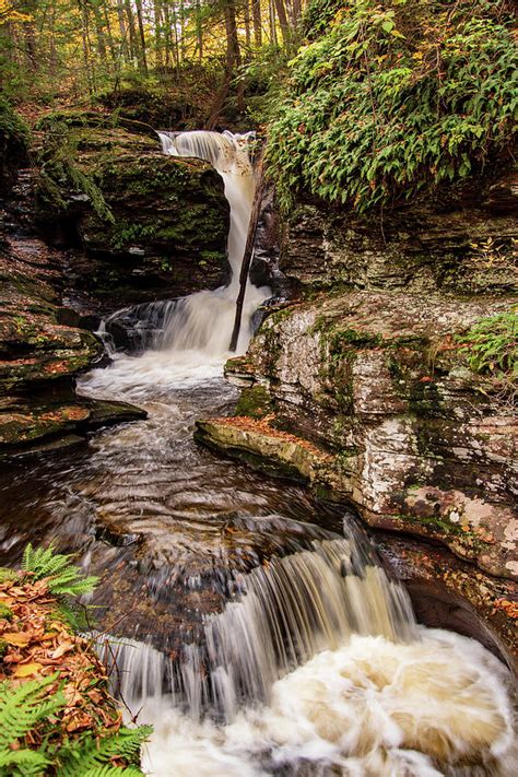 Adams Falls 2 Photograph By Rose Guinther Fine Art America