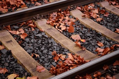 Autumn Leaves Train Images Stock Photos D Objects Vectors