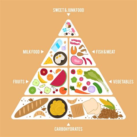 Free Vector Food Pyramid Template Theme Food Pyramid Food Pyramid Sexiezpix Web Porn