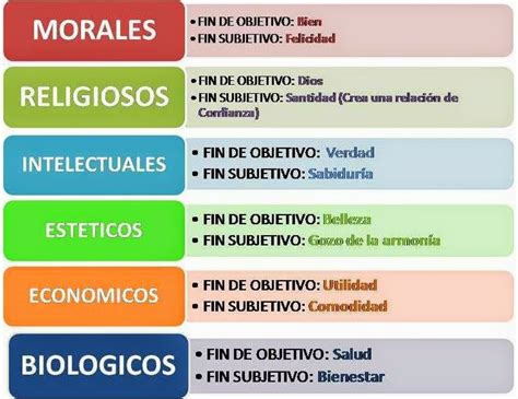 ClasificaciÓn De Los Valores Clasificacion De Los Valores