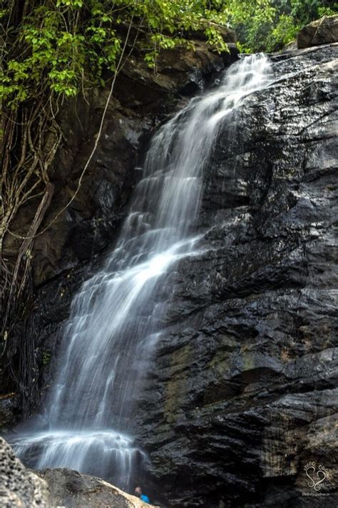 Soochipara Waterfalls - Wayanad Roadtrip | Steps Together