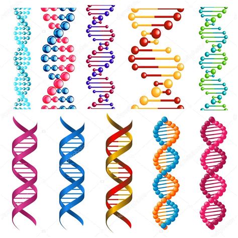 Las Células Y Las Moléculas De Adn Coloridas — Vector De Stock