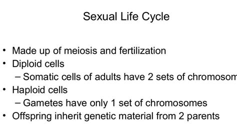 Solution Sexual Life Cycle Sexual Life Cycle Satges Features Of Meiosis Crossing Over Metaphase