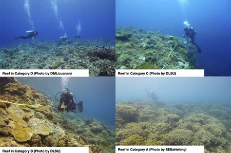 Status Of Corals Across The Philippines Including Endangered Coral And Coral Reef Species Listed