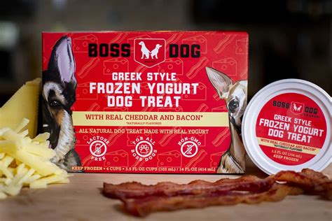 Boss Dog Greek Style Frozen Yogurt- Cheese & Bacon – Incredible Pets